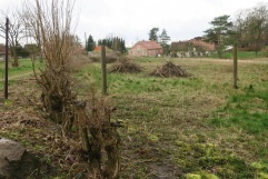 Landsitz