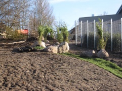  Bambuspflanzung am Wasserlauf