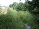 gleicher Standort im Sommer