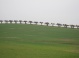 Lindenallee am Schloss Bothmer